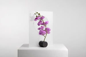 In Praise of Flowers <br> Orchid